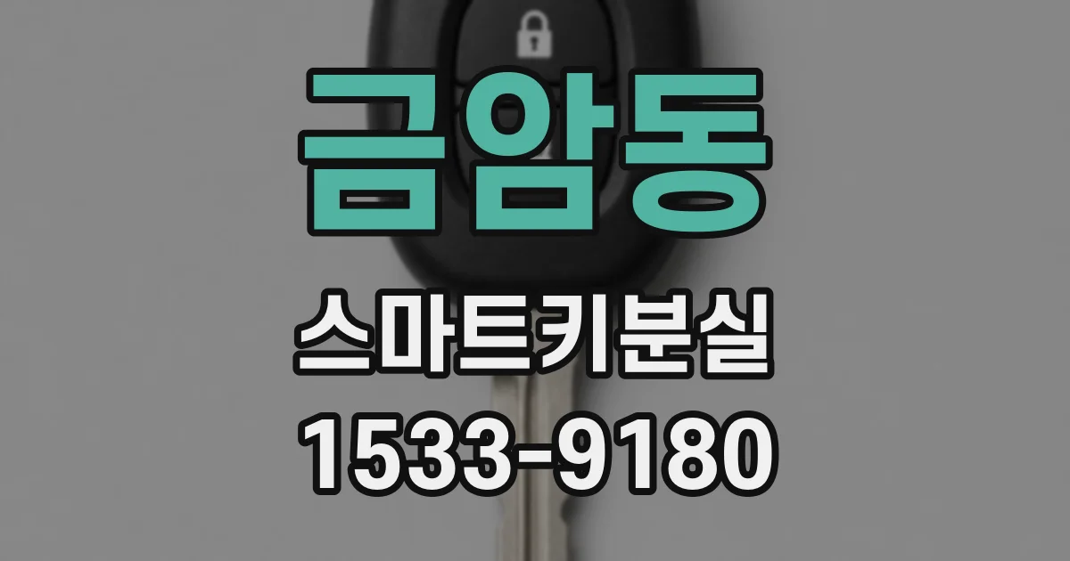 금암동 스마트키분실