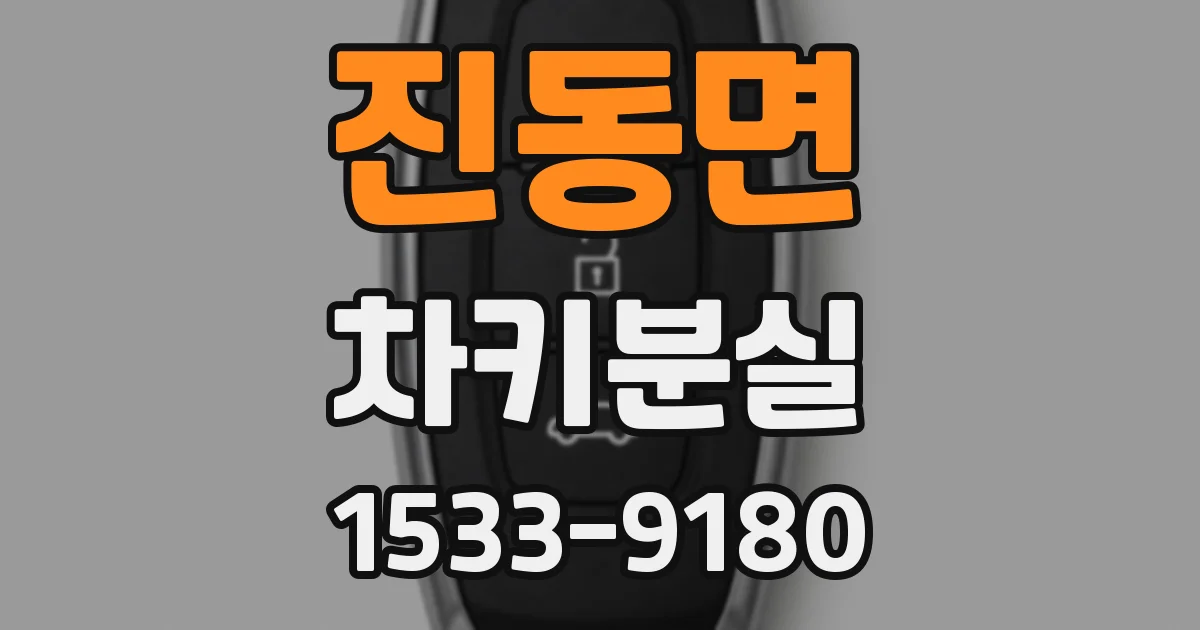 진동면 차키분실