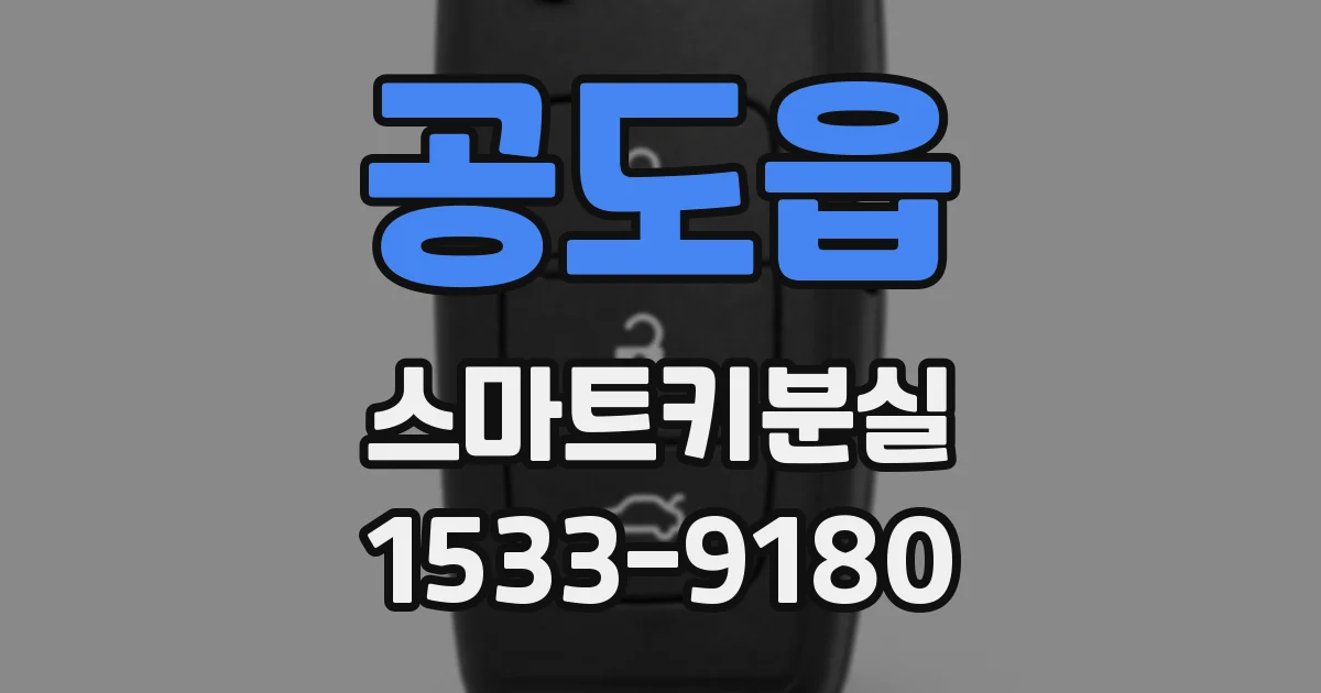 공도읍 스마트키분실