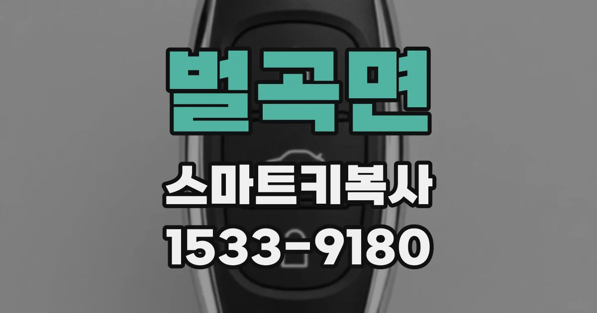 벌곡면 스마트키복사