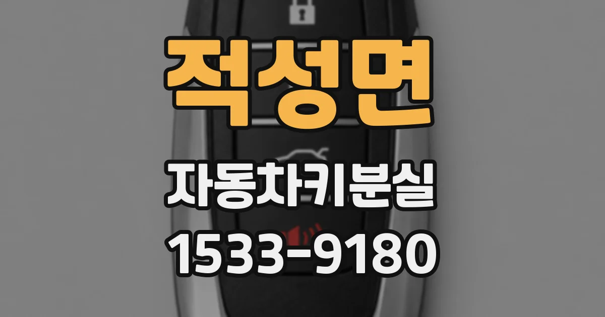 적성면 자동차키분실
