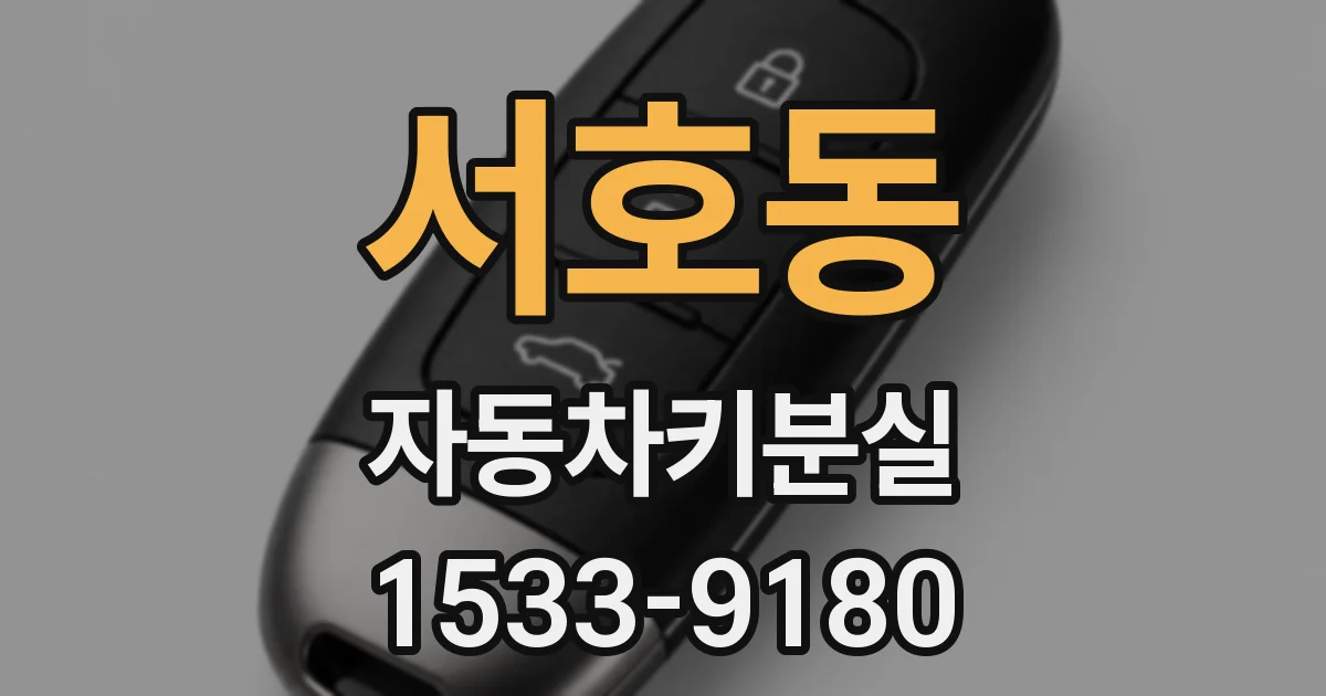 서호동 자동차키분실