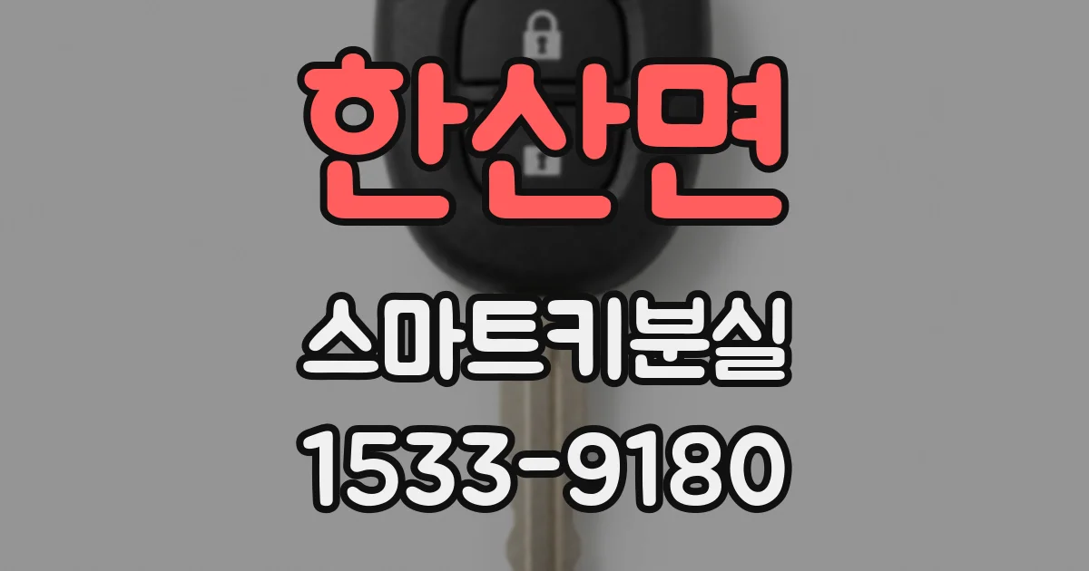 한산면 스마트키분실