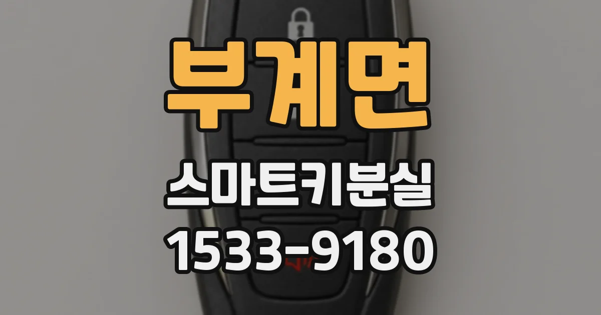부계면 스마트키분실