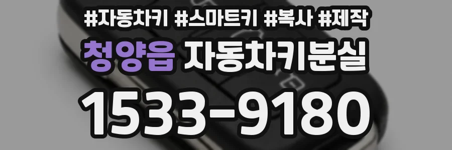 청양읍 자동차키분실