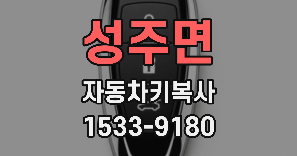 성주면 자동차키복사