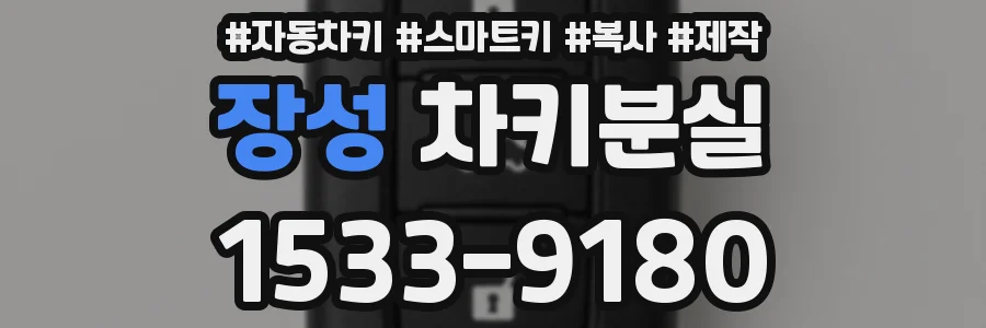 장성 차키분실