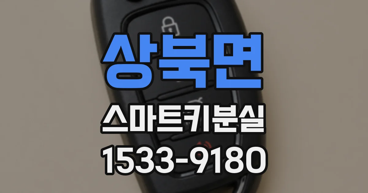 상북면 스마트키분실