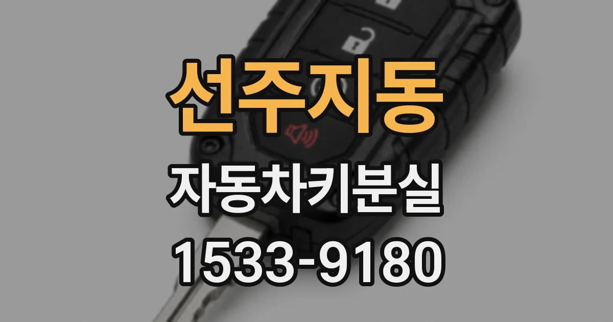 선주지동 자동차키분실