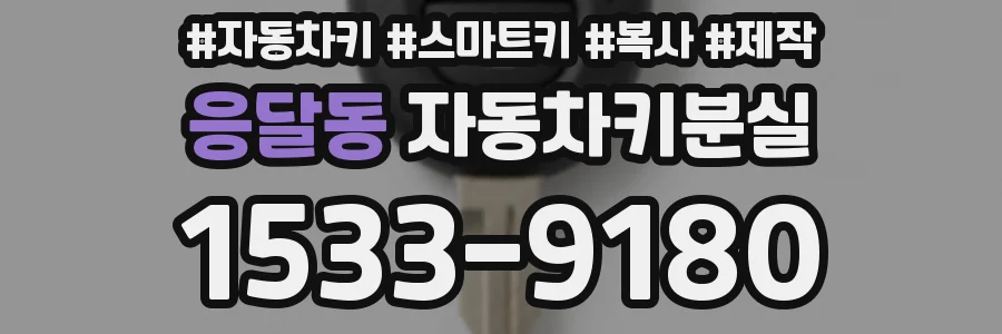 응달동 자동차키분실