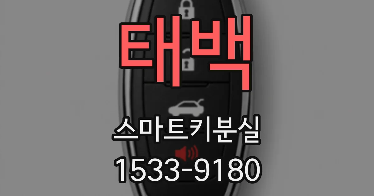 태백 스마트키분실