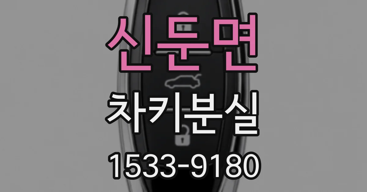 신둔면 차키분실