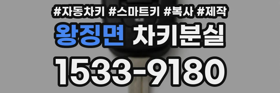 왕징면 차키분실