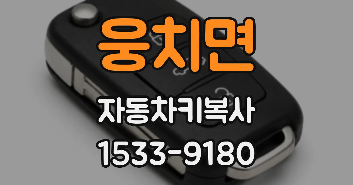 웅치면 자동차키복사