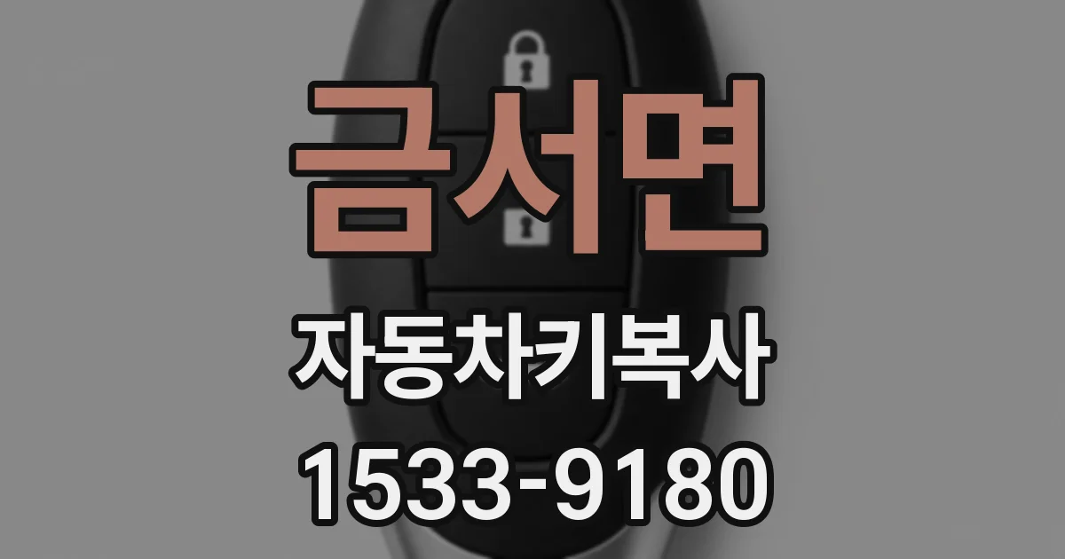 금서면 자동차키복사