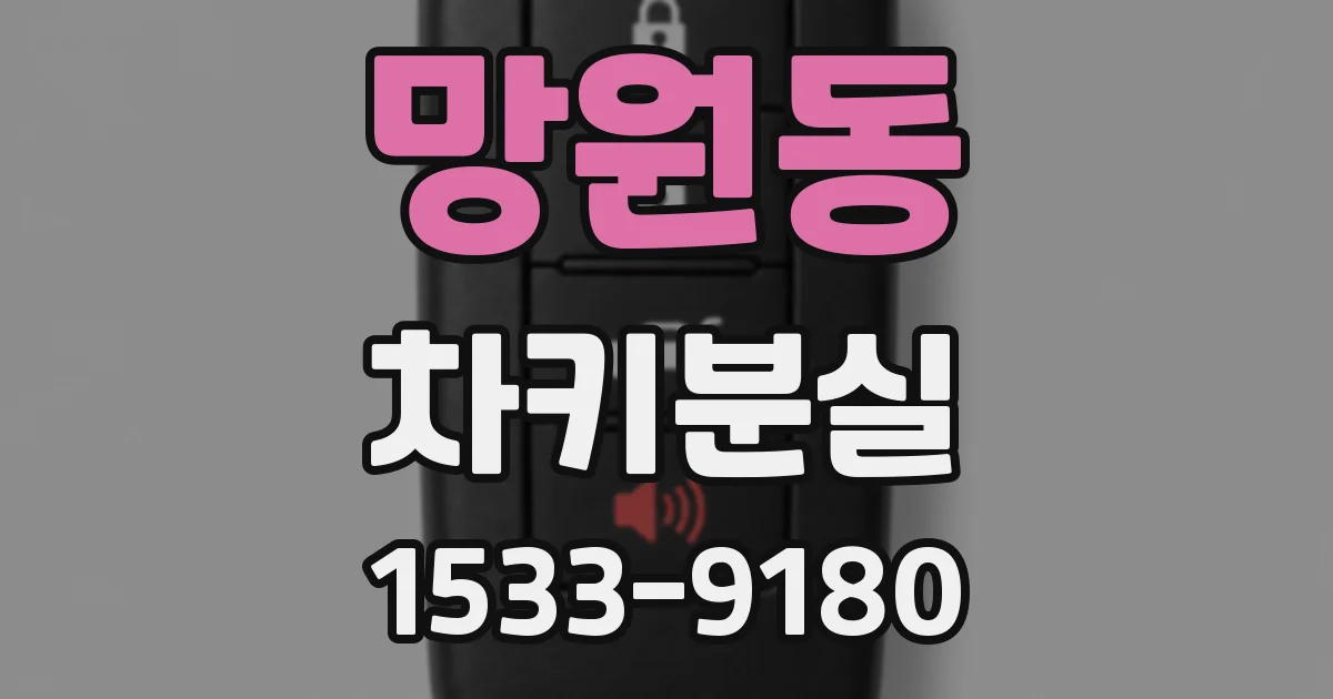 망원동 차키분실