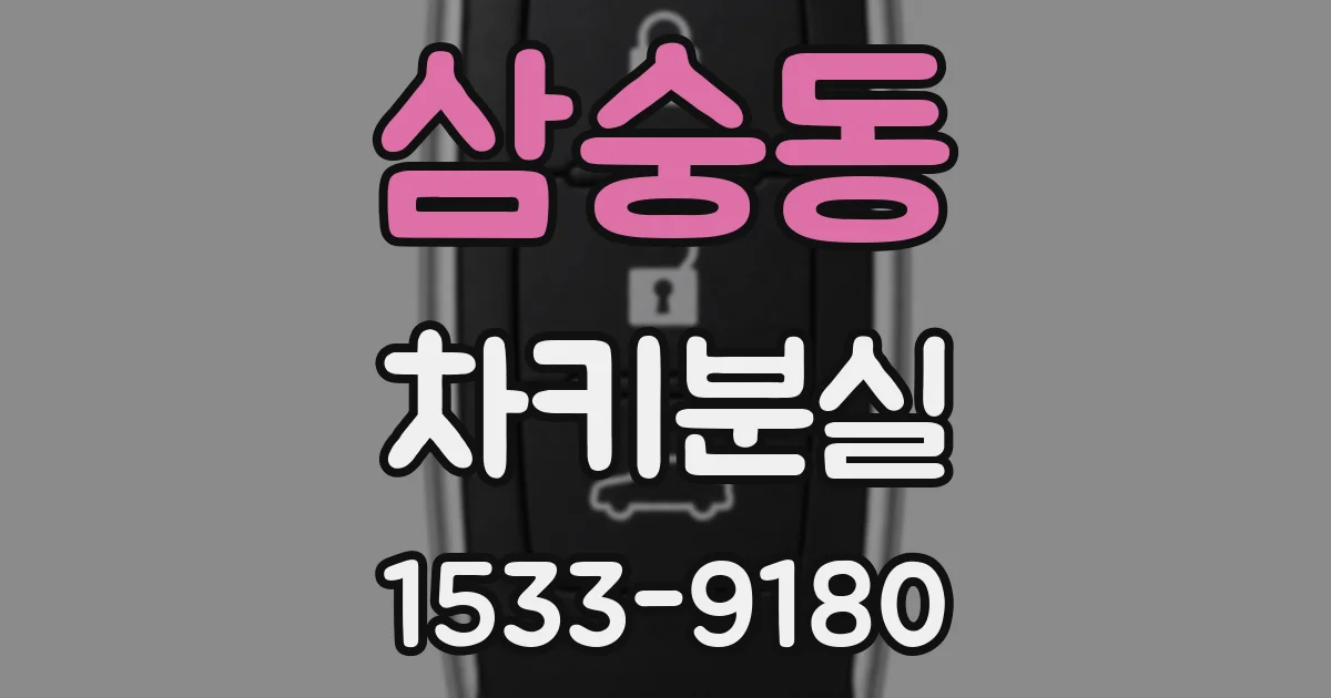 삼숭동 차키분실