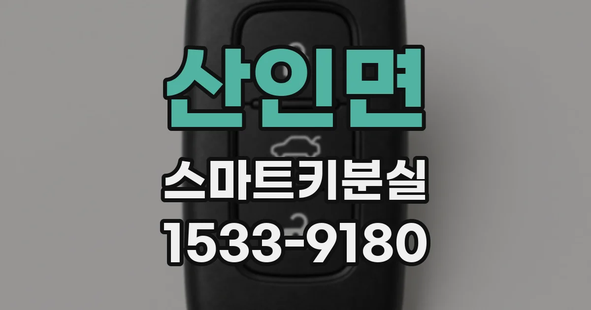 산인면 스마트키분실