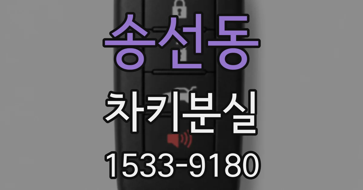 송선동 차키분실