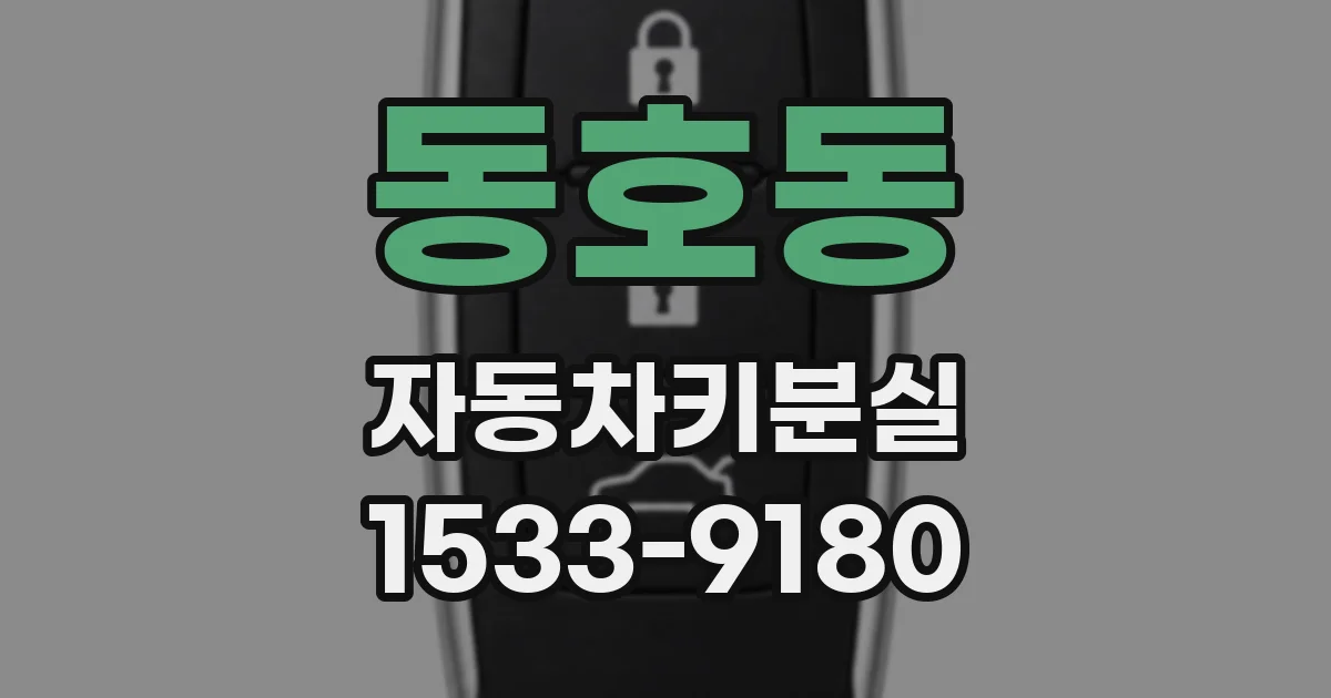 동호동 자동차키분실