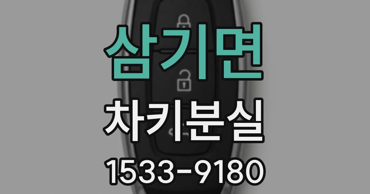 삼기면 차키분실