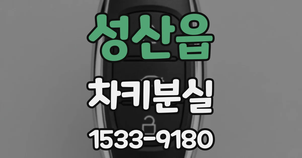 성산읍 차키분실