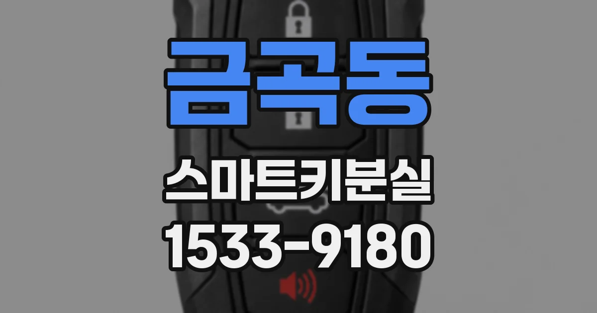 금곡동 스마트키분실