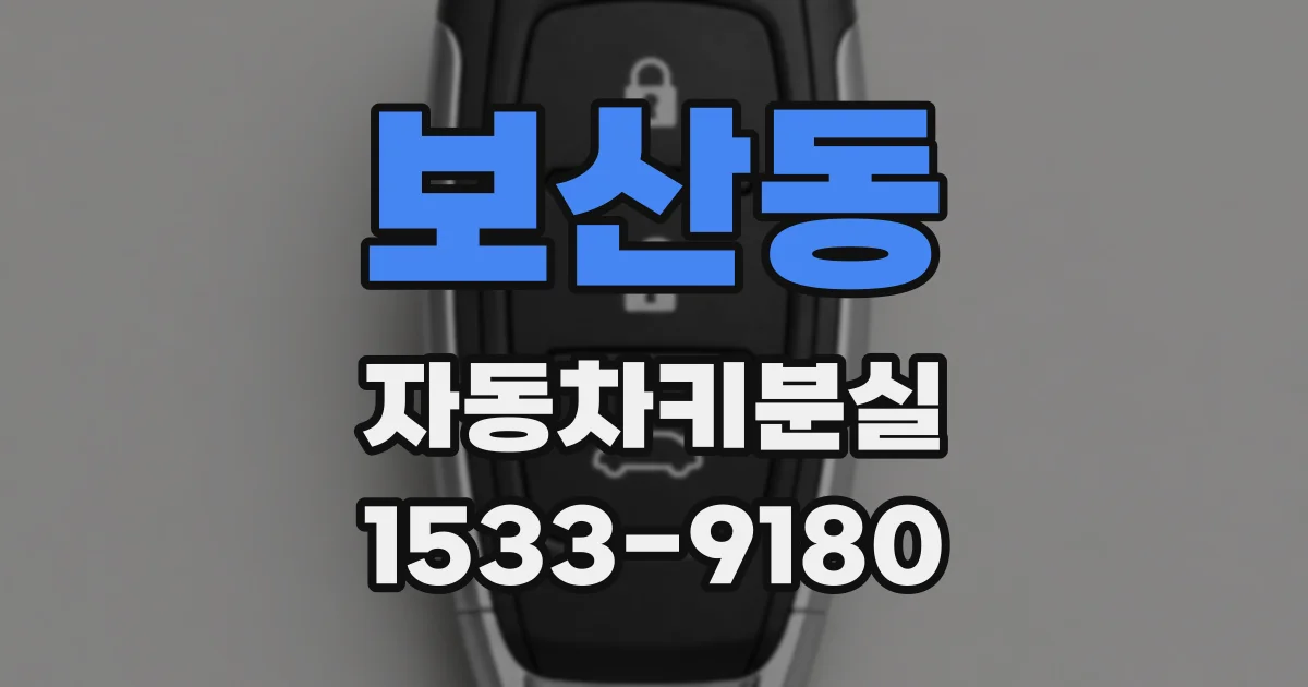 보산동 자동차키분실