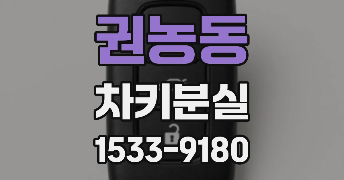 권농동 차키분실
