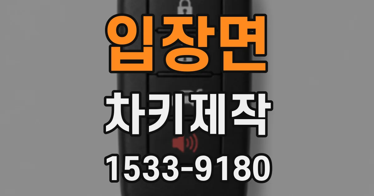 입장면 차키제작