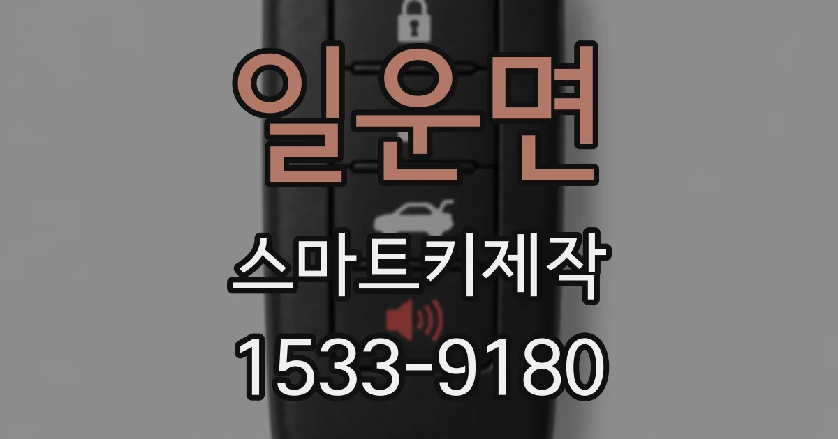 일운면 스마트키제작