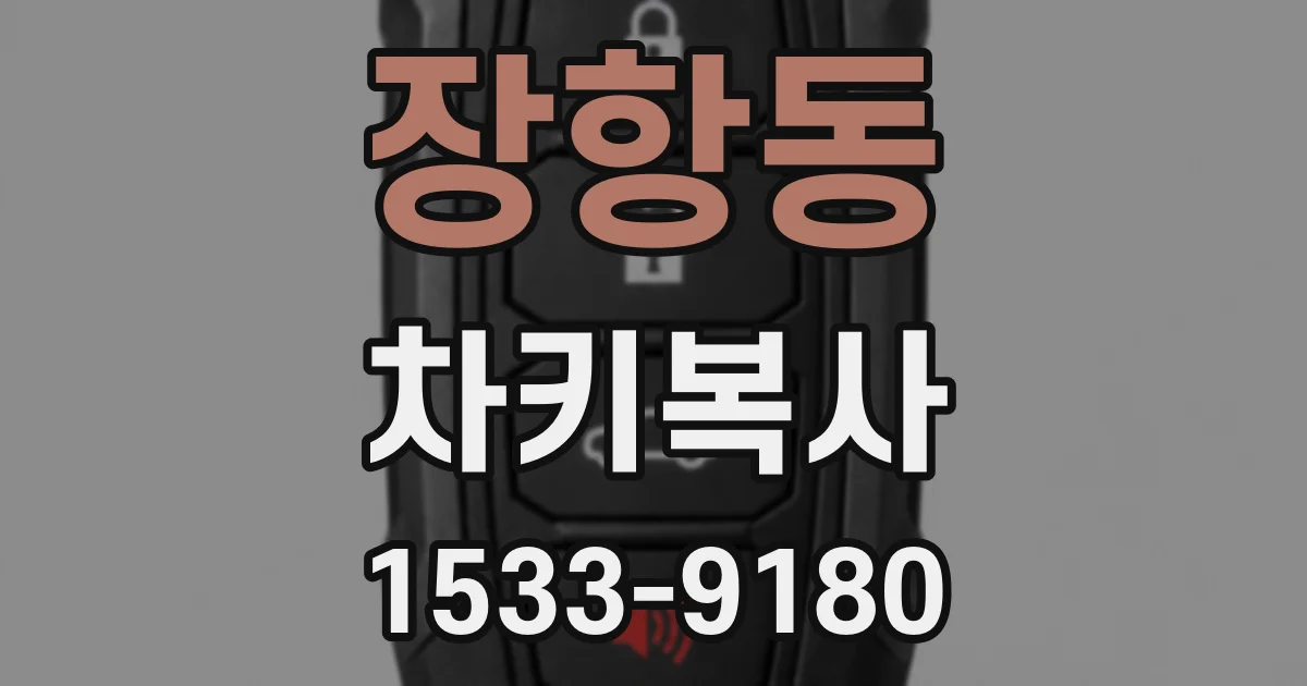 장항동 차키복사