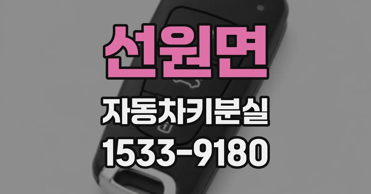 선원면 자동차키분실