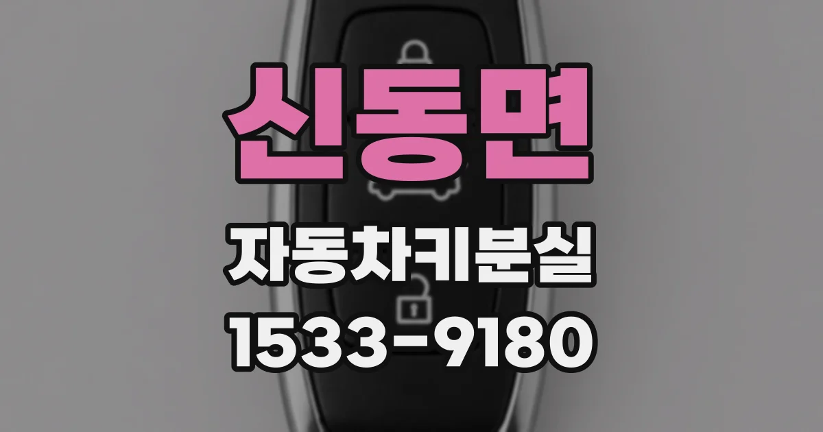 신동면 자동차키분실