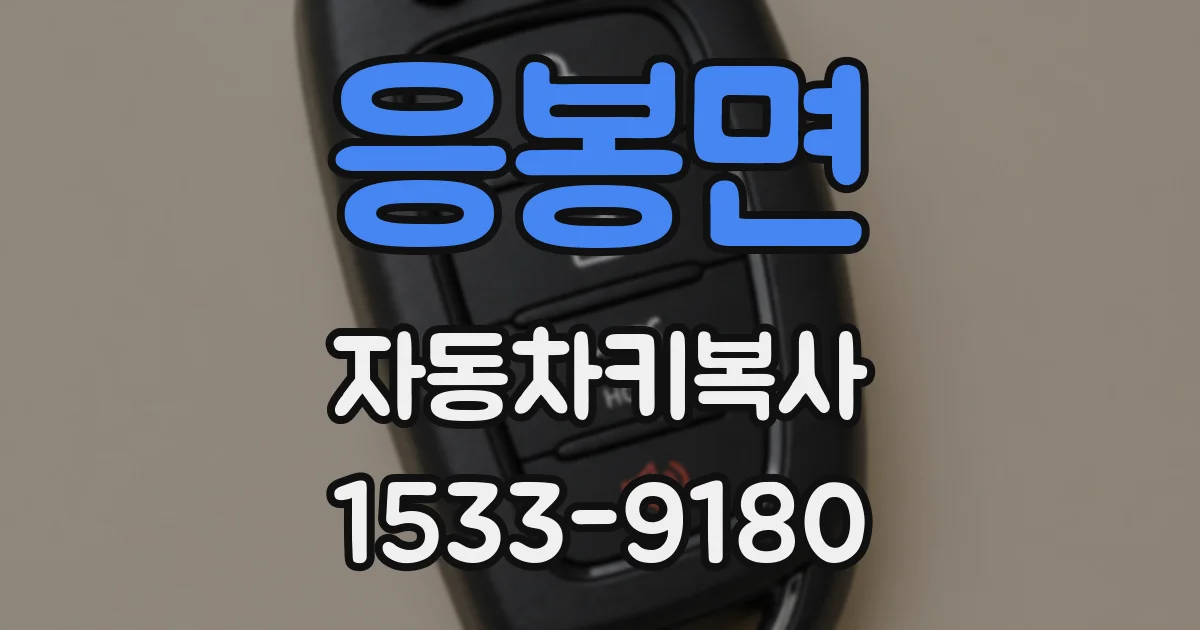 응봉면 자동차키복사