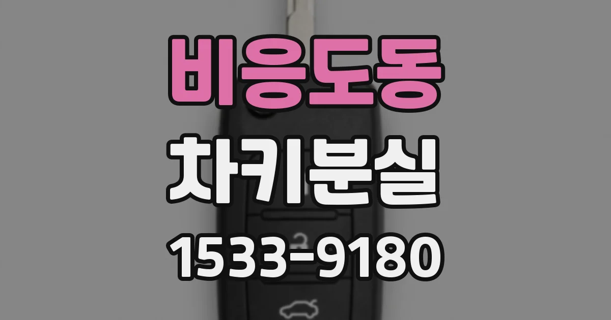 비응도동 차키분실