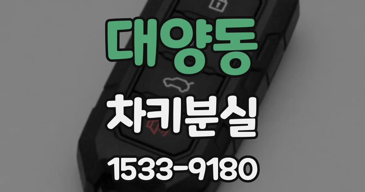 대양동 차키분실