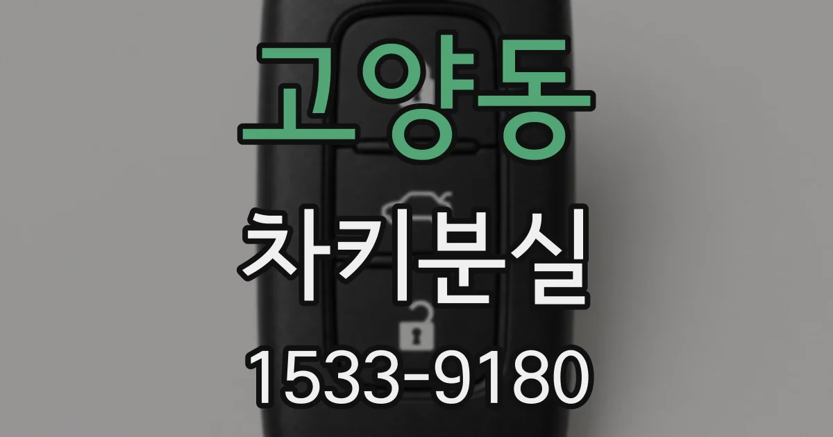 고양동 차키분실