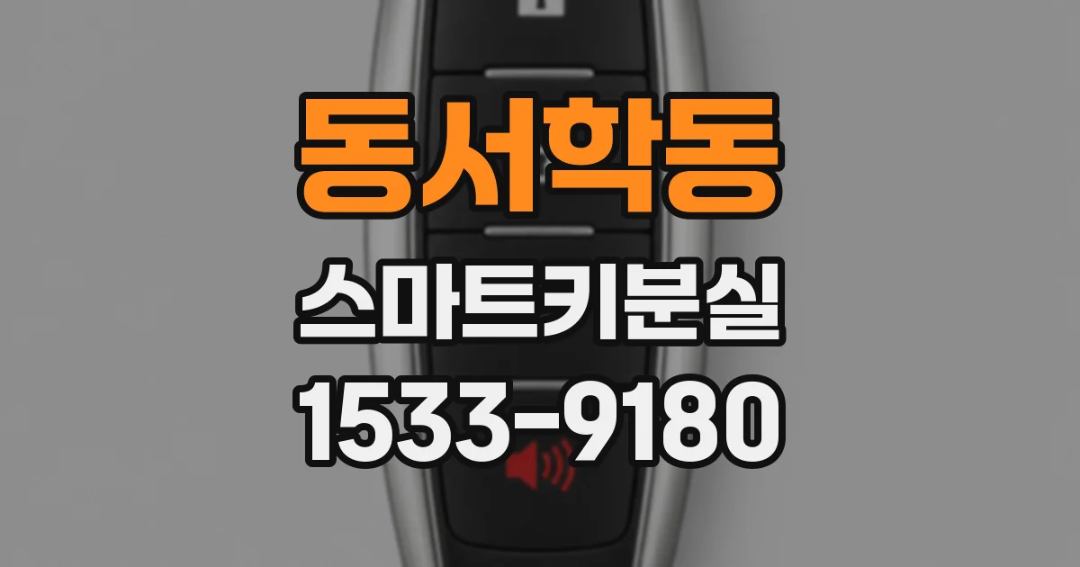 동서학동 스마트키분실