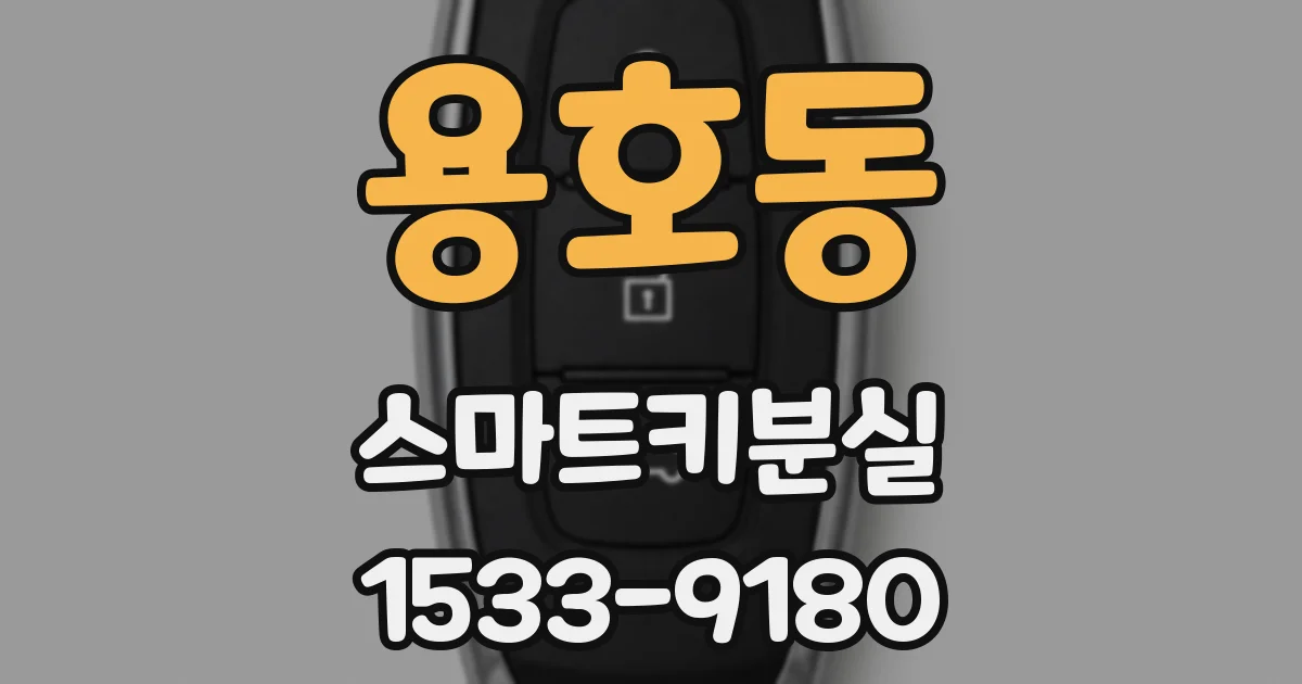 용호동 스마트키분실
