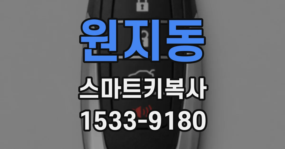 원지동 스마트키복사