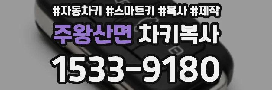 주왕산면 차키복사