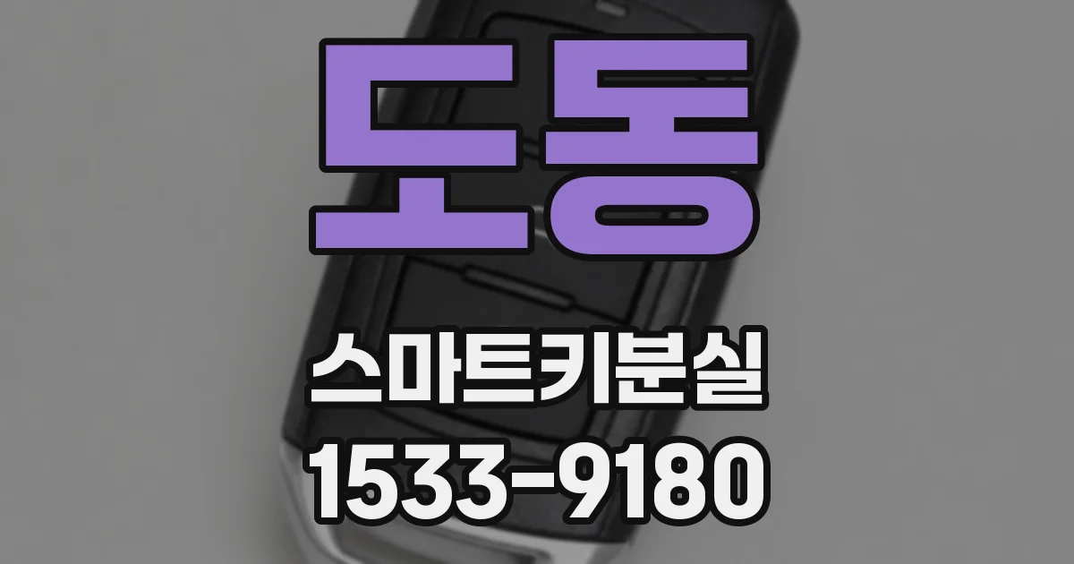 도동 스마트키분실