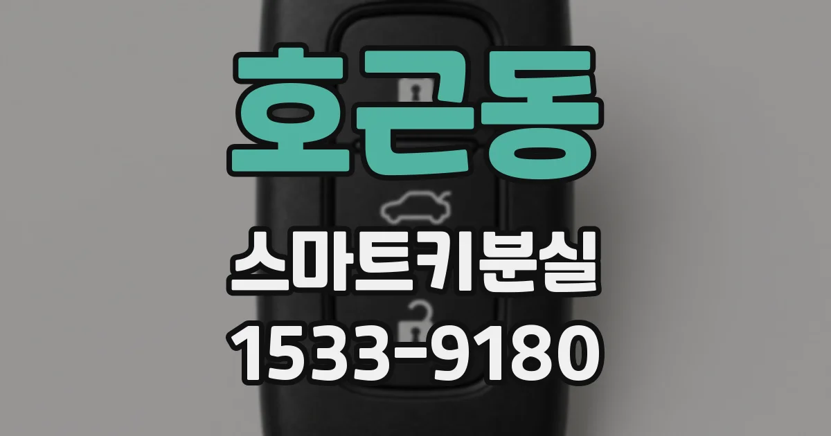 호근동 스마트키분실