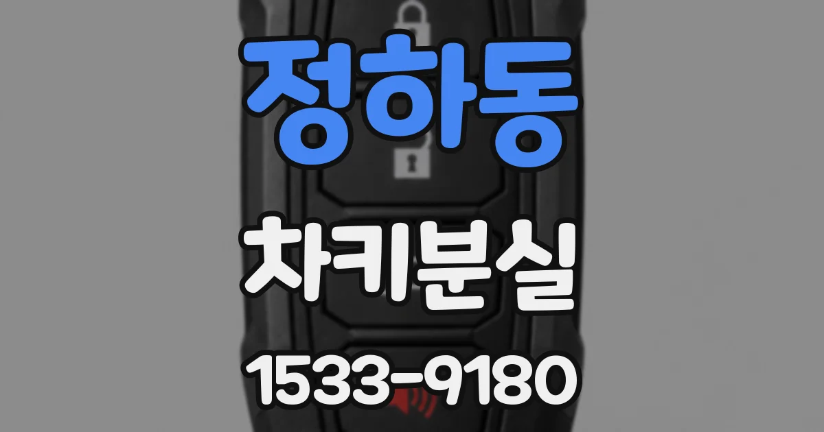정하동 차키분실