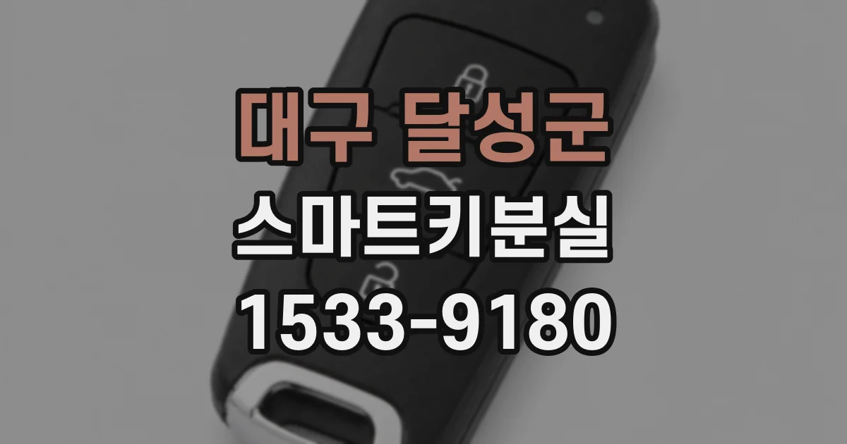 대구 달성군 스마트키분실