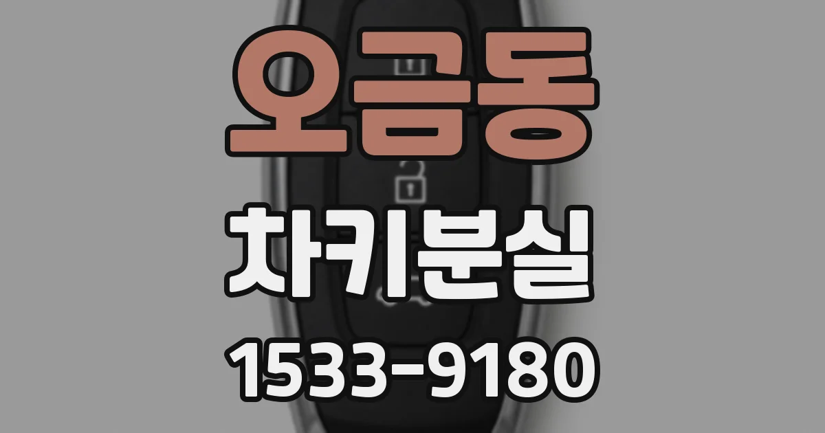 오금동 차키분실