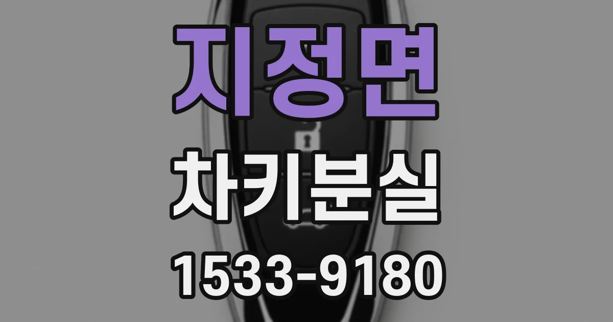 지정면 차키분실