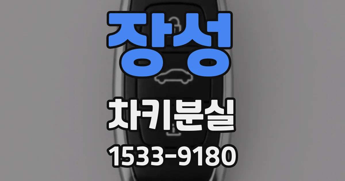 장성 차키분실