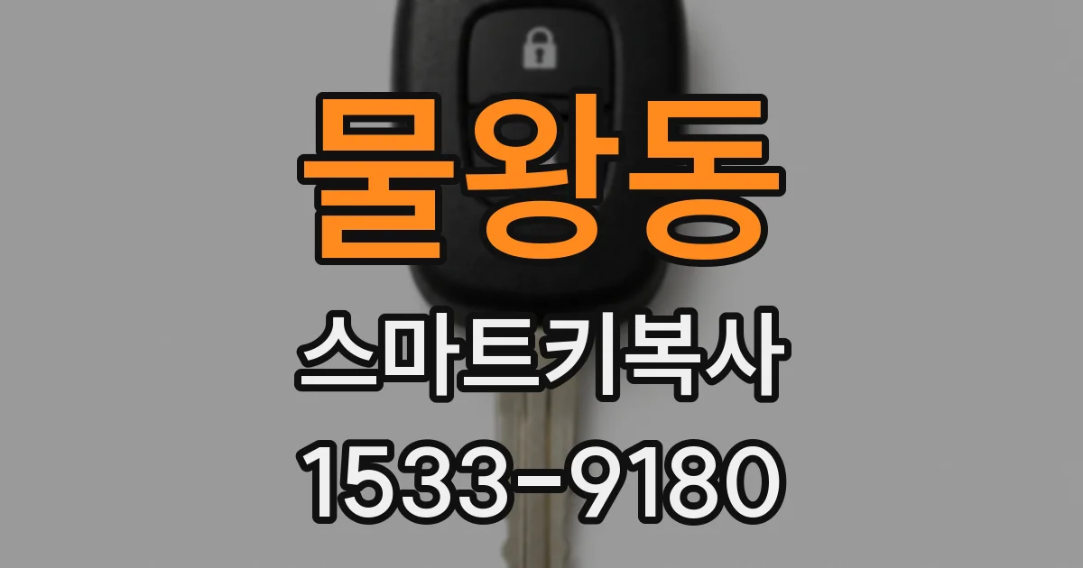 물왕동 스마트키복사
